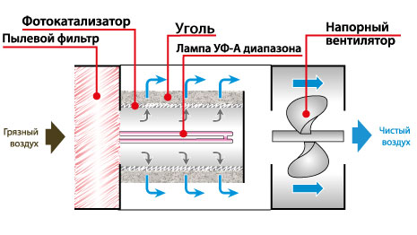 Как работает фотокатализатор? Что такое фотокаталитическая очистка воздуха?